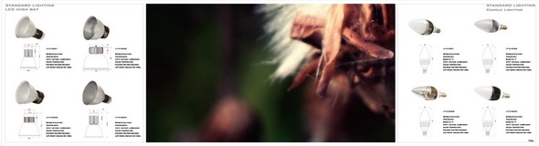 proimages/0-型錄/2011_catalog-14.JPG