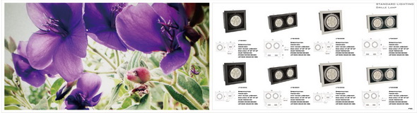 proimages/0-型錄/2011_catalog-16.JPG